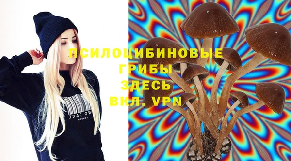 ALPHA PVP Армянск