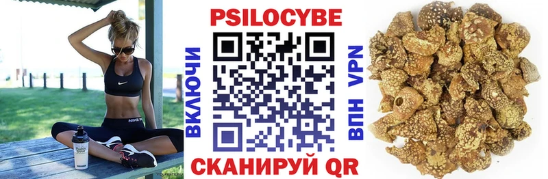 Галлюциногенные грибы мицелий магазин продажи Магадан